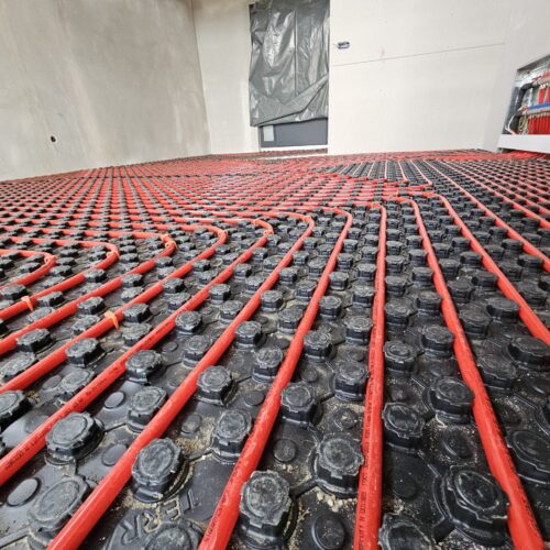 20250127_142915(0) (1)