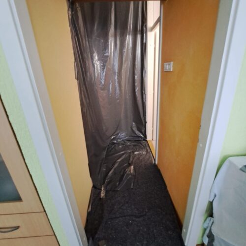 FB_IMG_1763466650402