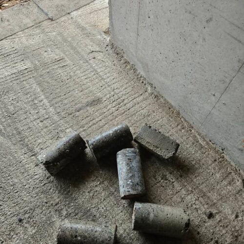 FB_IMG_1763475735671